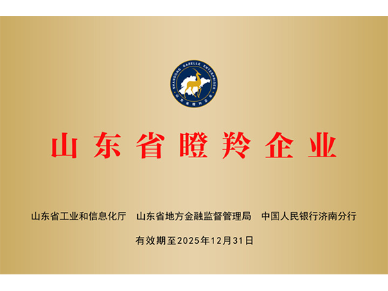 公司榮譽(yù)